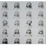 Natalia Lach-Lachowicz, Consumer Art, 1972