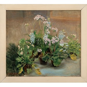 Miłosz KOTARBIŃSKI (1854 - 1944), Květiny
