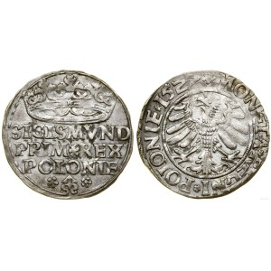 Poland, grosz, 1522, Kraków