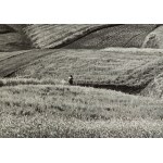 Jan Spalwan (1921 - 2004), Untitled
