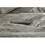 Jan Spalwan (1921 - 2004), Untitled