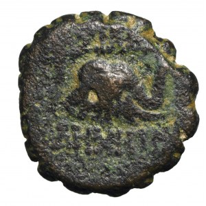 Królestwo Seleukidów, Demetriusz I Soter, Brąz - słoń/głowa konia