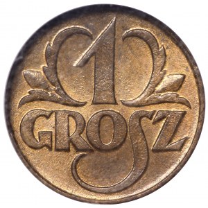  II Rzeczpospolita 1 grosz 1923 NGC MS64 RB