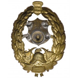 Estonia Gold Firefighter badge for 25 years of service