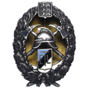 Estonia Silver Firefighter Badge ETL Miniature Version