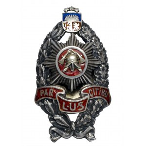 Latvia, silver firefighter badge for diligence.