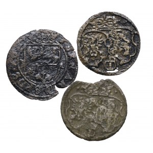 Zygmunt III Waza, zestaw 3 monet poznańskich