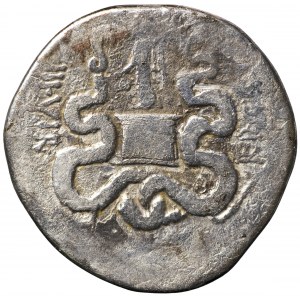 Tetradrachma Cystoforyczna Marek Antoniusz i Oktawia Efez