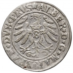 Prusy Książęce, grosz 1531 Królewiec