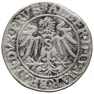 Prusy Książęce, grosz 1534 Królewiec