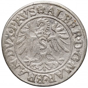 Prusy Książęce, grosz 1535 Królewiec
