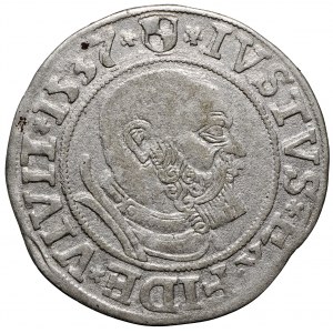 Prusy Książęce, grosz 1537 Królewiec