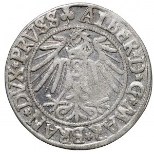 Prusy Książęce, grosz 1541 Królewiec
