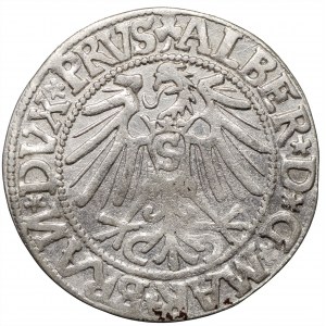 Prusy Książęce, grosz 1544 Królewiec