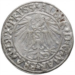 Prusy Książęce, grosz 1545 Królewiec