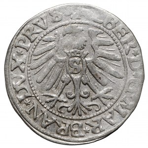 Prusy Książęce, grosz 1546 Królewiec