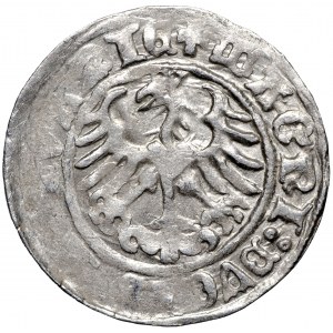 Zygmunt Stary, półgrosz 1513 Wilno