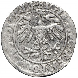 Zygmunt August, półgrosz 1558 LITVA/LI Wilno
