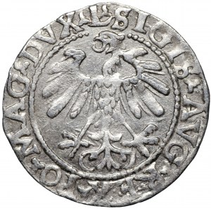 Zygmunt August, półgrosz 1559 LITVA/L Wilno