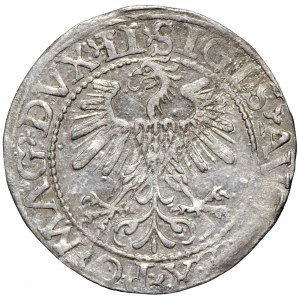 Zygmunt August, półgrosz 1560 LITV/LI Wilno