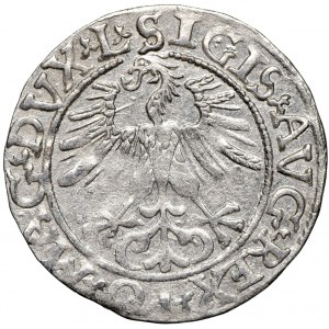 Zygmunt August, półgrosz 1561 LITVA/L Wilno