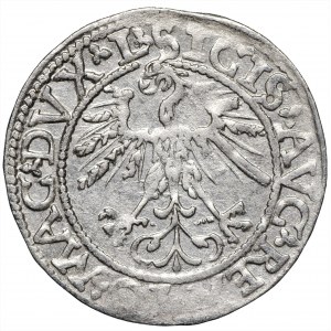 Zygmunt August, półgrosz 1562 LITVA/L Wilno