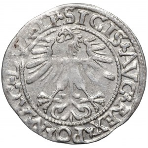 Zygmunt August, półgrosz 1562 LITVA/LI Wilno