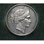 Francja Medal Wyścigi Konne 1873