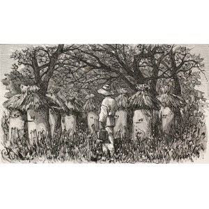 Juliusz KOSSAK (1824-1899), Pasieka Mohorta