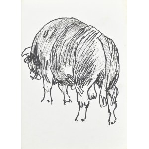 Ludwik MACIĄG (1920-2007), Bull.