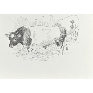 Ludwik MACIĄG (1920-2007), Cow