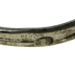 Ring with shell, author's product (231)