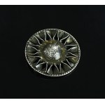 Brooch rosette, author