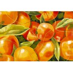 Zofia Wawrzynowicz (ur. 2000), Orange in the jungle, 2026