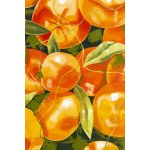 Zofia Wawrzynowicz (ur. 2000), Orange in the jungle, 2026