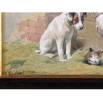 CARL REICHERT, 1836 - 1918