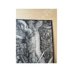 ALBRECHT DÜRER, 1471 - 1528