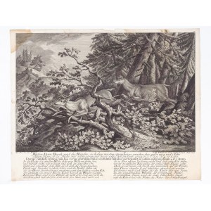JOHANN ELIAS RIDINGER, 1698 - 1767
