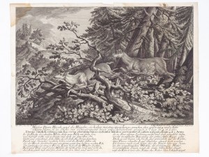 JOHANN ELIAS RIDINGER, 1698 - 1767