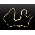 PEARL NECKLACE WITH GOLD CLASP, 14 KT YELLOW GOLD