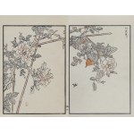 Kōno Bairei (1844-1895), The Nightingale and the Chinese Rose, published by Ōkura Magobei, Tokyo/Japan, 1881.