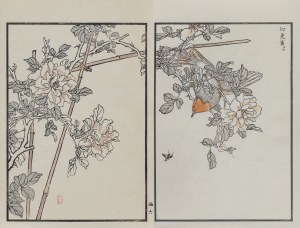 Kōno Bairei (1844-1895), Słowik i chińska róża, wyd. Ōkura Magobei, Tokio/Japonia, 1881 r.