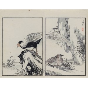 Kōno Bairei (1844-1895), Pair of Diamond Pheasants, published by Ōkura Magobei, Tokyo/Japan, 1881.