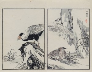 Kōno Bairei (1844-1895), Para bażantów diamentowych, wyd. Ōkura Magobei, Tokio/Japonia, 1881 r.