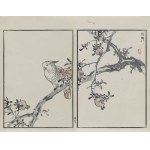 Kōno Bairei (1844-1895), Parrot on a Pomegranate Branch, published by Ōkura Magobei, Tokyo/Japan, 1881.