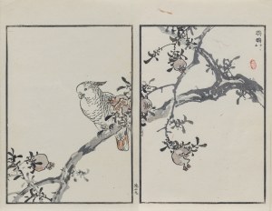 Kōno Bairei (1844-1895), Papuga na gałęzi granatu, wyd. Ōkura Magobei, Tokio/Japonia, 1881 r.