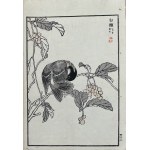 Kōno Bairei (1844-1895), Tits, published by Ōkura Magobei, Tokyo/Japan, 1881.
