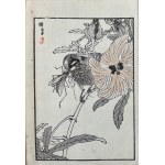 Kōno Bairei (1844-1895), The bumblebee and the hibiscus flower, published by Ōkura Magobei, Tokyo/Japan, 1881.