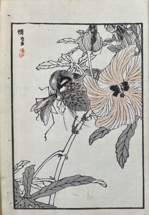Kōno Bairei (1844-1895), Trznadel i kwiat hibiskusa, wyd. Ōkura Magobei, Tokio/Japonia, 1881 r.