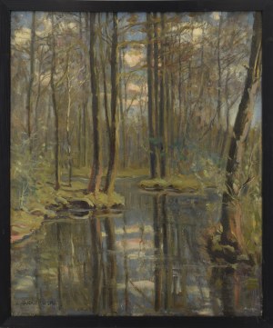 Ludwik GRABOWSKI (1884-1982), Leśne mokradła